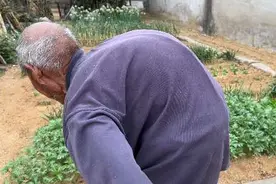 对于爷爷，我有特殊的情感，这个假期哪里也没有去