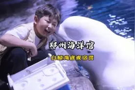我们大郑州也有白鲸海底露营啦，和白鲸贴贴，和海豚互动视频封面