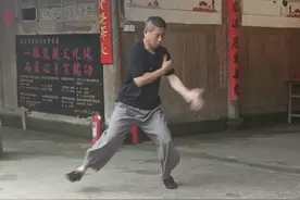 非遗武术宗鹤拳#吞吐浮沉在其中 #弹抖震撞有门道#弘扬中华传统武术 #宗鹤拳发源地视频封面