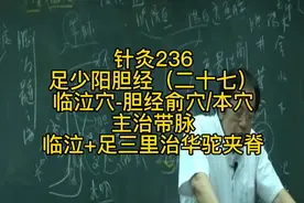 倪海厦讲针灸236-足少阳胆经（二十七）-临泣穴视频封面