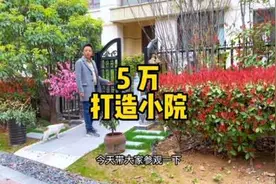 花费5万块钱，打造一个五十多平方的中式小院视频封面