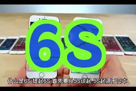 什么是6S