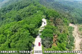 济南药乡森林公园免费了，两条路线自驾游玩，跑山