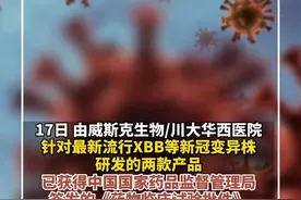 针对XBB的重组多价新冠蛋白疫苗获临床批件，威斯克生物：是全球首个视频封面