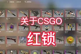 关于我之前3800小时自用大号，被红锁了 #csgo #steam游戏 #cs视频封面