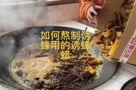 自己在家该如何熬制诱蜂用的中蜂蜡视频封面