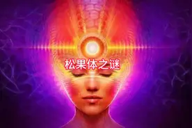 人类松果体之谜#未解之谜 #奇闻异事 #人体奥秘 #超自然现象视频封面