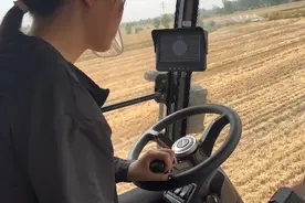 个个都说要来给我帮忙，我都快割完了也没看见一个安徽的半决子视频封面