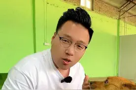 胆小敏感的狗，反而要大大方方的接触，不要小心翼翼的，不然狗子会一直陷入到自我保护的状态中。#训犬 #宠物训练学校 #萌宠 #狗狗视频封面