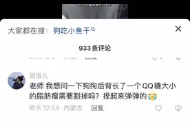 关于狗子的脂肪瘤#萌宠 #狗狗 #宠物