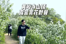 西安为数不多，车可以开到山顶的好地方！欣赏满山的白娟梅视频封面