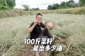 100斤油菜籽能出多少油？耗时10天，解锁一下#菜籽油视频封面
