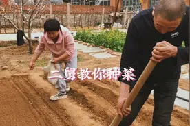 农村75岁二舅种菜，各种蔬菜应有尽有，小院种的满满当当，真勤快视频封面