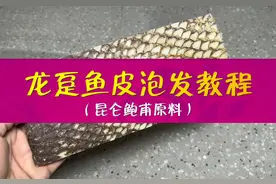 满汉全席（昆仑鲍甫）龙趸鱼皮泡发教程！#鲍参翅肚 #满汉全席