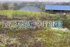 房屋🏠或坟后面有污水池主不利#人文地理 #风水玄学 #环境布局视频封面
