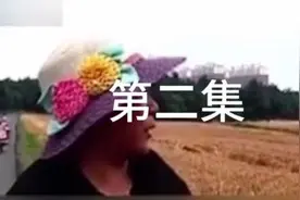 70亩小麦带急收，农民却被禁用收割机#社会百态 #真实事件视频封面