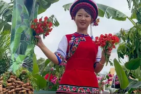 第一次来玉溪市·元江县过芒果节，免费芒果吃到饱，路边·地里，掉落下来的芒果最甜最好吃#元江芒果节#云南人的快乐视频封面