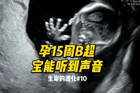 孕15周B超 宝宝能听到妈妈的声音和心跳！生命的进化10视频封面
