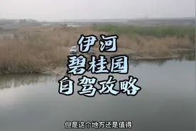 适合市区周边，可休闲、垂钓、烧烤，车能开到水边，沿途风景秀丽视频封面