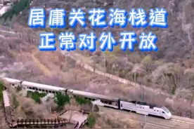 错过等一年！居庸关花海栈道正式对外开放！春日列车已发车视频封面