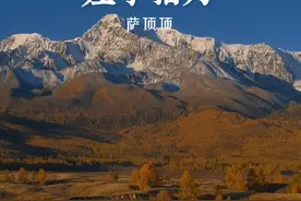#萨顶顶 不愧是国家队选手，这首 #左手指月 ，一点也不给别人翻唱的机会#热门音乐🔥 #音乐 #一首歌一个故事视频封面