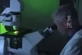 俄称美已重启在乌军事生物计划视频封面