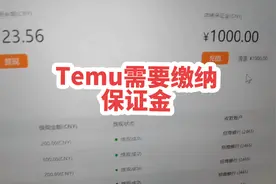 #跨境电商 #temu #拼多多跨境 #temu选品 #拼多多跨境海外版