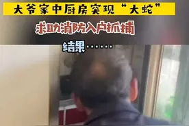5月9日（发布时间）山东。大爷家中厨房突现“大蛇”，求助入户抓捕，结果……#分享有趣的视频 #这操作也是没谁了😂😂 #惊不惊喜意不意外 来源：@临沂早新闻
