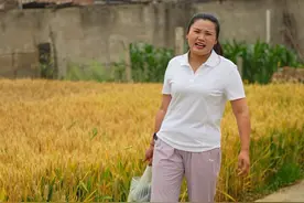 麦黄黄闺女瞧娘，你们都走过亲戚了吗……#我的乡村生活 #新农人计划2023 #抖音乡村生活家 #乡村守护人#麦子熟了视频封面