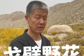 骆驼刺的生长环境#万人说新疆 #传递正能量 #我的乡村生活 #三农 #骆驼刺视频封面