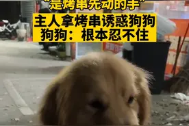 “是烤串先动的手”广西一主人拿烤串诱惑狗狗，狗狗：根本忍不住！ #萌宠 #广西 #可爱视频封面