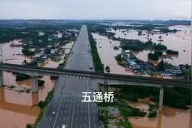 那年818洪水视频。#乐山 #四川 #vlog日常 #航拍 #现场实拍视频封面