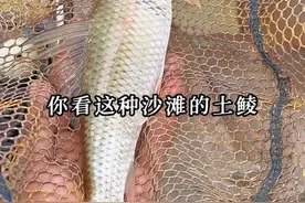 游钓广东的168天，曾经博罗东江钓土鲮最好的地方，如今却是……#2023dou来钓鱼 #原来钓鱼才是抖音运动顶流视频封面