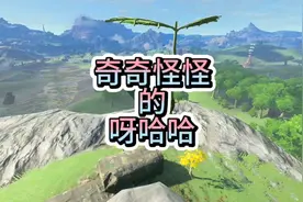 奇奇怪怪的呀哈哈破解攻略#塞尔达传说王国之泪游戏