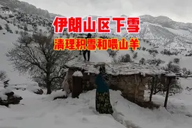 伊朗山区下雪:游牧民清理积雪和喂山羊#野外生活纪录片 #游牧生活视频封面