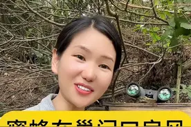 蜜蜂在巢门口扇风是什么原因怎样处理学会这几点在也不用担心蜜蜂因为扇风没有及时处理导致的飞逃#蜜蜂 #养蜂人 #蜜蜂养殖 #三农流量扶持计划 #养蜂技术分享 @创作灵感小助手 @抖音创作者中心 @DOU+小助手 @抖音短视频视频封面