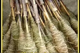 70岁的苗族老人正在为年幼的孙女制作嫁衣，传承古老的制麻工艺视频封面