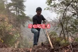 43块钱一棵的果树苗，据说当年就能开花结果视频封面