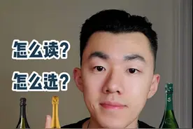 今天我们来聊聊这些顶级香槟该怎么读，该怎么选。#香槟 #葡萄酒 #生活英语 #海外生活 #酒知识视频封面