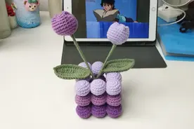 郁金香摆件 简单百搭 小仙女必备#手工diy #教程 #爱生活爱编织视频封面