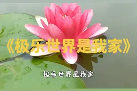 好听的歌曲《ji乐世界是我家》#用音乐治愈心灵 #百听不厌的旋律