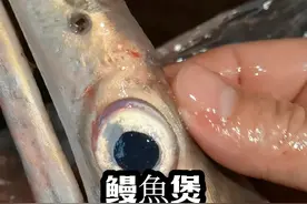 新鲜的食材，往往只需要简单的烹饪方式！#鳗鱼头煲汤视频封面
