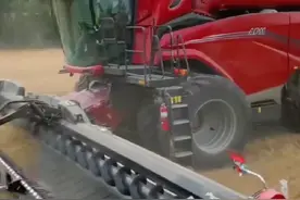 凯斯AF11联合收割机 #联合收割机 #国外农机 #大型农业机械视频封面