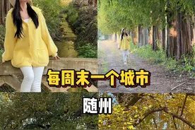 湖北有座低调的银杏小镇——洛阳镇银杏谷！#为中国小城上分#曾都文旅有点猛#秋天总要来千年银杏谷一次吧#金秋随州钟情曾都视频封面
