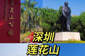 莲花山公园攻略： 公园免费开放视频封面