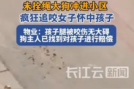未拴绳大狗冲进小区，疯狂追咬女子怀中孩子视频封面