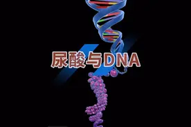 尿酸是怎么生成的？为什么尿酸会高？ #尿酸 #尿酸高 #嘌呤 #内容启发搜索 #抖出健康知识宝藏