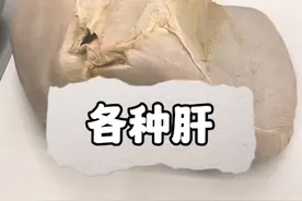 各种肝脏 你是我的~~#科普知识 #内容启发搜索 #动物科普视频封面