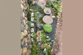 第六十五集｜终于把溪流做好了 花20做了个自己喜欢的溪流#旧房改造 #溪流 #鱼池 #我的乡村生活视频封面