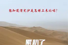 累趴了｜应广大粉丝的要求，关于滑完沙怎么上来的问题，今天专门录制了一段视频，通过视频来感受一下爬沙的难度，如果这样你还愿意滑沙体验吗？提别提示！这里滑沙都是车接的哦，如果自己趴上来那滑沙的体验就大打折扣了😀#滑沙#来新疆总要滑一次沙吧
